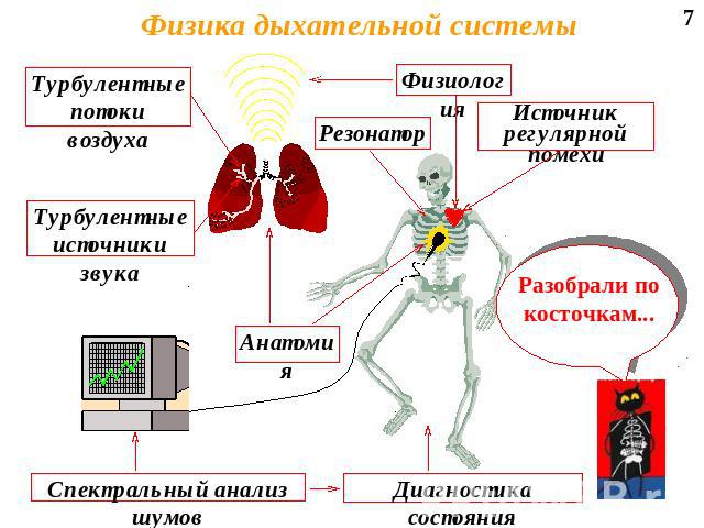 Физика дыхательной системы