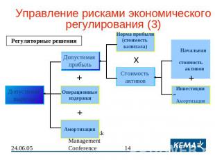 Управление рисками экономического регулирования (3)