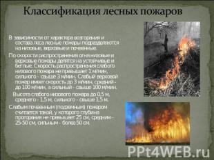 Классификация лесных пожаров В зависимости от характера возгорания и состава лес