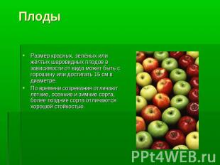 Плоды Размер красных, зелёных или жёлтых шаровидных плодов в зависимости от вида