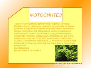 ФОТОСИНТЕЗ Органические продукты фотосинтеза, например углеводы, Сm(Н2О)n, вполн