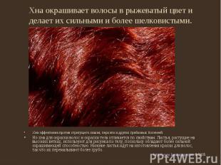 Хна окрашивает волосы в рыжеватый цвет и делает их сильными и более шелковистыми