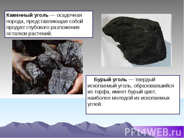 Каменный уголь — осадочная порода, представляющая собой продукт глубокого разложения остатков растений. Бурый уголь — твердый ископаемый уголь, образовавшийся из торфа, имеет бурый цвет, наиболее молодой из ископаемых углей.