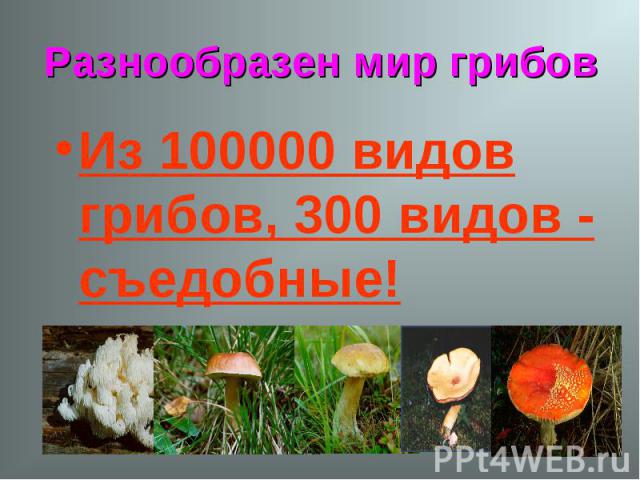 Разнообразен мир грибов Из 100000 видов грибов, 300 видов - съедобные!