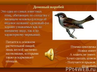 Домовый воробей Это одна из самых известных птиц, обитающих по соседству с жилищ