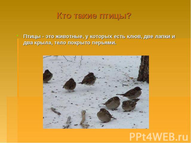 Кто такие птицы? Птицы - это животные, у которых есть клюв, две лапки и два крыла, тело покрыто перьями.