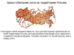 Ареал обитания лося на территории России. Благодаря своей неприхотливости, лось