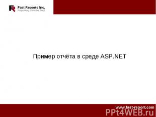 Пример отчёта в среде ASP.NET