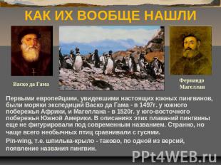 КАК ИХ ВООБЩЕ НАШЛИ Первыми европейцами, увидевшими настоящих южных пингвинов, б