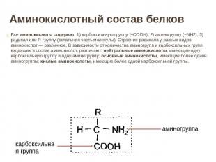 Аминокислотный состав белков Все аминокислоты содержат: 1) карбоксильную группу
