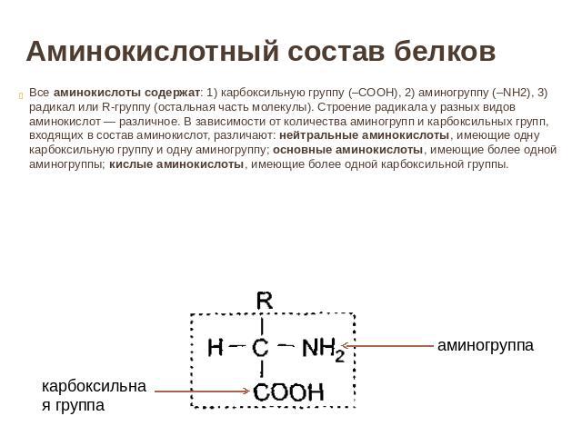 Аминокислотный состав белков Все аминокислоты содержат: 1) карбоксильную группу (–СООН), 2) аминогруппу (–NH2), 3) радикал или R-группу (остальная часть молекулы). Строение радикала у разных видов аминокислот — различное. В зависимости от количества…