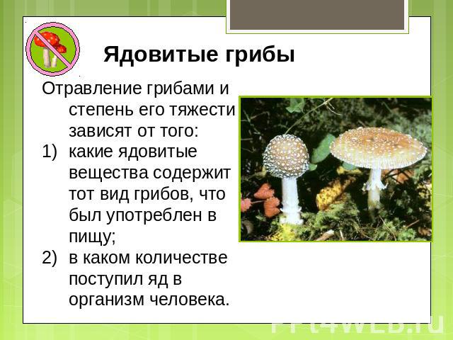 Ядовитые грибы Отравление грибами и степень его тяжести зависят от того: какие ядовитые вещества содержит тот вид грибов, что был употреблен в пищу; в каком количестве поступил яд в организм человека.