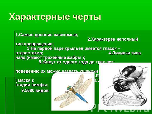 1.Самые древние насекомые; 2.Характерен неполный тип превращения; 3.На первой паре крыльев имеется глазок – птеростигма; 4.Личинки типа наяд (имеют трахейные жабры ); 5.Живут от одного года до трех лет; 6.По их поведению их можно назвать хищники – д…