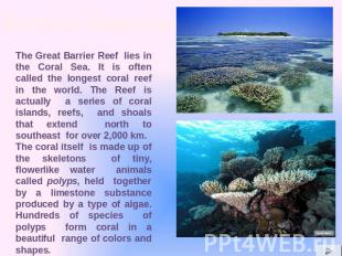The Great Barrier Reef lies in the Coral Sea. It is often called the longest cor