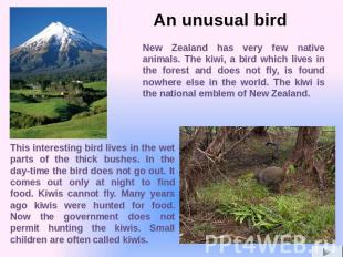 New Zealand has very few native animals. The kiwi, a bird which lives in the for
