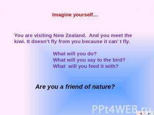 You are visiting New Zealand. And you meet the kiwi. It doesn’t fly from you bec