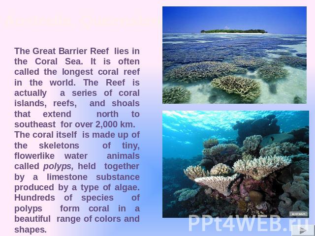 The Great Barrier Reef lies in the Coral Sea. It is often called the longest coral reef in the world. The Reef is actually a series of coral islands, reefs, and shoals that extend north to southeast for over 2,000 km. The coral itself is made up of …