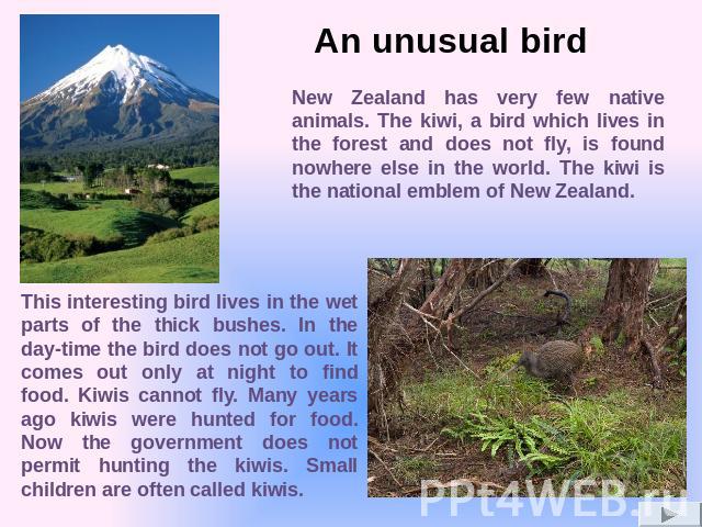 New Zealand has very few native animals. The kiwi, a bird which lives in the forest and does not fly, is found nowhere else in the world. The kiwi is the national emblem of New Zealand. This interesting bird lives in the wet parts of the thick bushe…