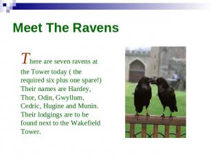 Meet The Ravens There are seven ravens at the Tower today ( the required six plu