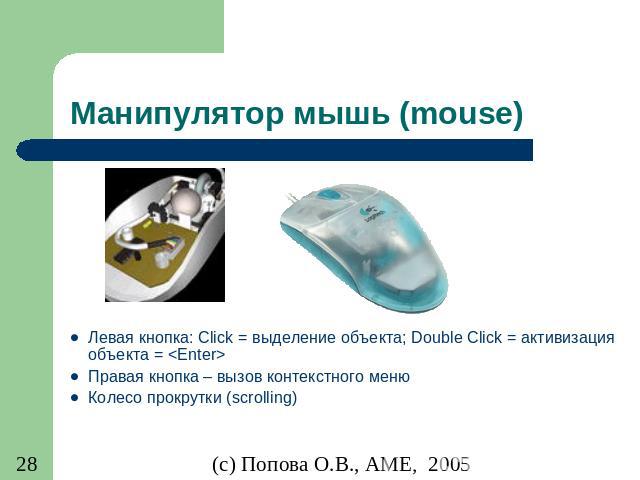 Манипулятор мышь (mouse) Левая кнопка: Click = выделение объекта; Double Click = активизация объекта = <Enter> Правая кнопка – вызов контекстного меню Колесо прокрутки (scrolling)