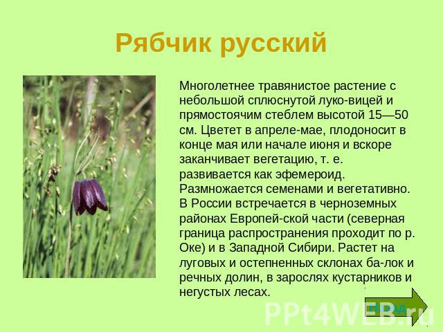 Рябчик русский Многолетнее растение высотой до 30 см, с ползучим корневищем. Цветет в мае-июне, плоды созревают в июне-начале июля. Размножается преимущественно вегетативным путем: корневища способны к интенсивному разрастанию, и часто клоны ландыша…