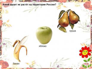 Какой фрукт не растёт на территории России? банан яблоко груша