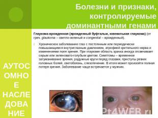АУТОСОМНОЕ НАСЛЕДОВАНИЕ Глаукома врожденная (врожденный буфтальм, ювенильная гла