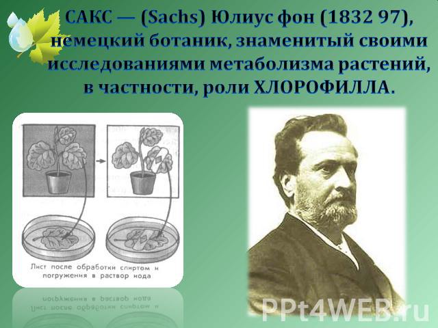 САКС — (Sachs) Юлиус фон (1832 97), немецкий ботаник, знаменитый своими исследованиями метаболизма растений, в частности, роли ХЛОРОФИЛЛА.