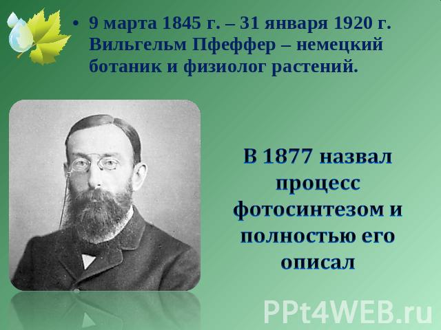 9 марта 1845 г. – 31 января 1920 г. Вильгельм Пфеффер – немецкий ботаник и физиолог растений. В 1877 назвал процесс фотосинтезом и полностью его описал