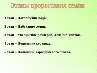 Этапы прорастания семян 1 этап – Поглощение воды. 2 этап – Набухание семян. 3 эт