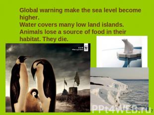Global warning make the sea level become higher. Water covers many low land isla