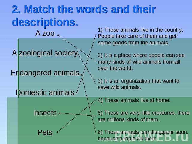 2. Match the words and their descriptions. A zoo A zoological society Endangered animals Domestic animals Insects Pets