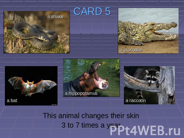 CARD 5 This animal changes their skin 3 to 7 times a year.