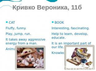 Кривко Вероника, 11б СAT Fluffy, funny. Play, jump, run. It takes away aggressiv