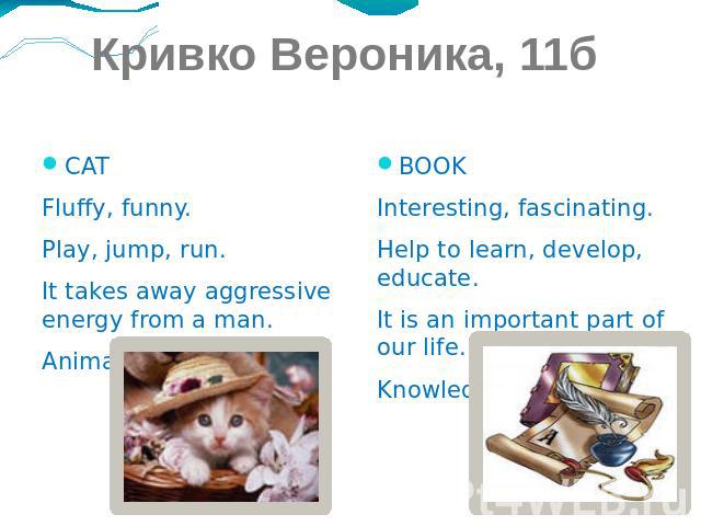 Кривко Вероника, 11б СAT Fluffy, funny. Play, jump, run. It takes away aggressive energy from a man. Animal.