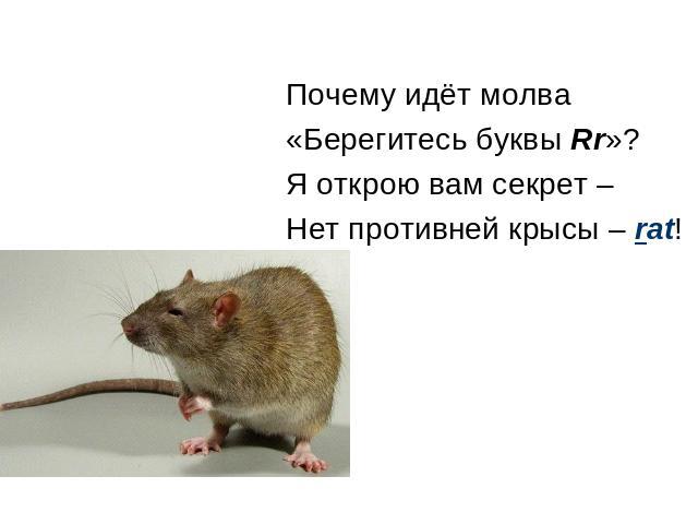 Почему идёт молва «Берегитесь буквы Rr»? Я открою вам секрет – Нет противней крысы – rat!