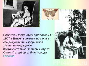 Набоков читает книгу о бабочках в 1907 в Выре, в летнем поместье его дедушки по