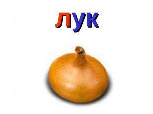 лук