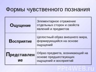 Формы чувственного познания Ощущение Элементарное отражение отдельных сторон и с