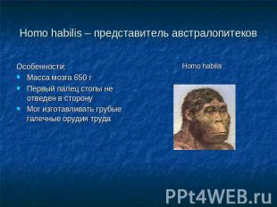 Homo habilis – представитель австралопитеков Особенности:Масса мозга 650 гПервый