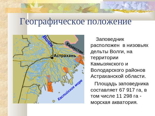 Географическое положение Заповедник расположен в низовьях дельты Волги, на территории Камызякского и Володарского районов Астраханской области. Площадь заповедника составляет 67 917 га, в том числе 11 298 га - морская акватория.