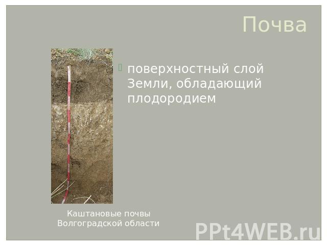 Почва поверхностный слой Земли, обладающий плодородием Каштановые почвы Волгоградской области