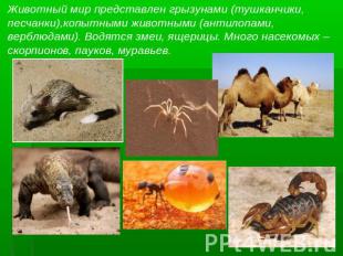 Животный мир представлен грызунами (тушканчики,песчанки),копытными животными (ан