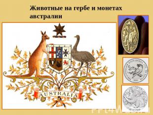 Животные на гербе и монетах австралии