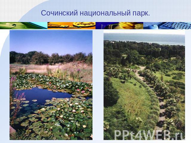 Сочинский национальный парк.