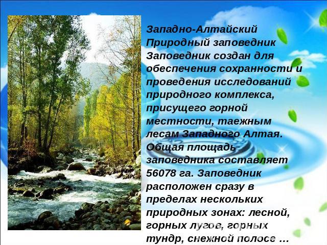 Западно-Алтайский Природный заповедникЗаповедник создан для обеспечения сохранности и проведения исследований природного комплекса, присущего горной местности, таежным лесам Западного Алтая. Общая площадь заповедника составляет 56078 га. Заповедник …