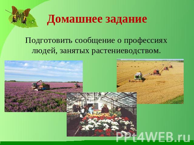 Домашнее задание Подготовить сообщение о профессиях людей, занятых растениеводством.
