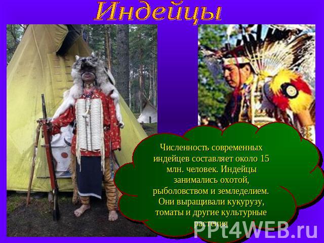 Индейцы Численность современных индейцев составляет около 15 млн. человек. Индейцы занимались охотой, рыболовством и земледелием. Они выращивали кукурузу, томаты и другие культурные растения
