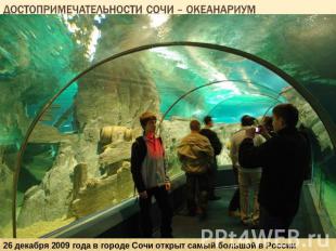 Достопримечательности сочи – океанариум 26 декабря 2009 года в городе Сочи откры