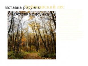 Арбековский лес Ботанический памятник природы регионального значения. Общая площ